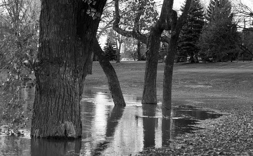 IMG_1495e