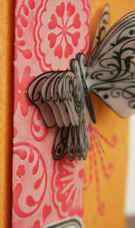 IMG_3014_StackedButterflyCloseUp