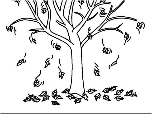 Dessin Arbre Maternelle  Coloriage Arbres à imprimer  dessin