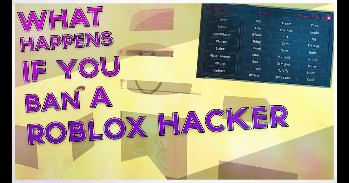 Pp45 Info What Happens If You Ban A Roblox Hacker A Roblox