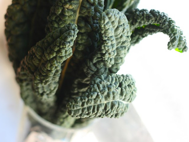 lacinato kale