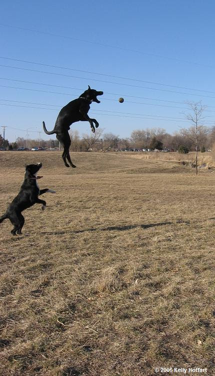IMG_1413-Jump