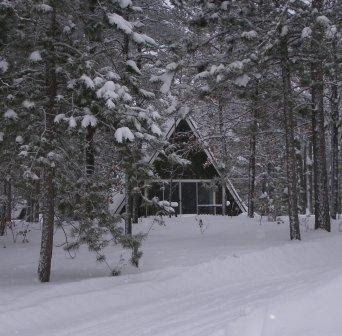 Our Michigan Cottage Xmas 2008