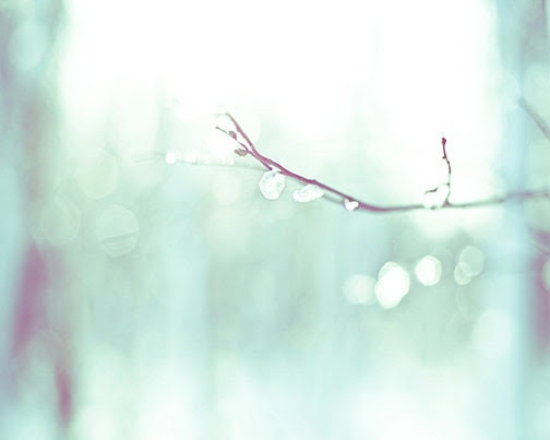 Whimsical nature photography - Dreamy - 8x10 fairy tale abstract art print - teal and purple winter home or nursery decor - ShawnaCameron Whimsical nature photography - Dreamy - 8x10 fairy tale abstract art print - teal and purple winter home or nursery decor - ShawnaCameron
