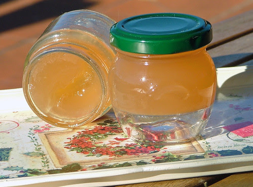 grape jelly with white wine and vanilla