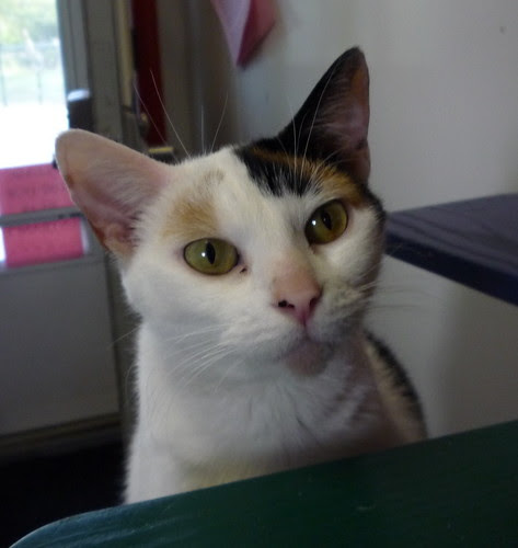 Ginny