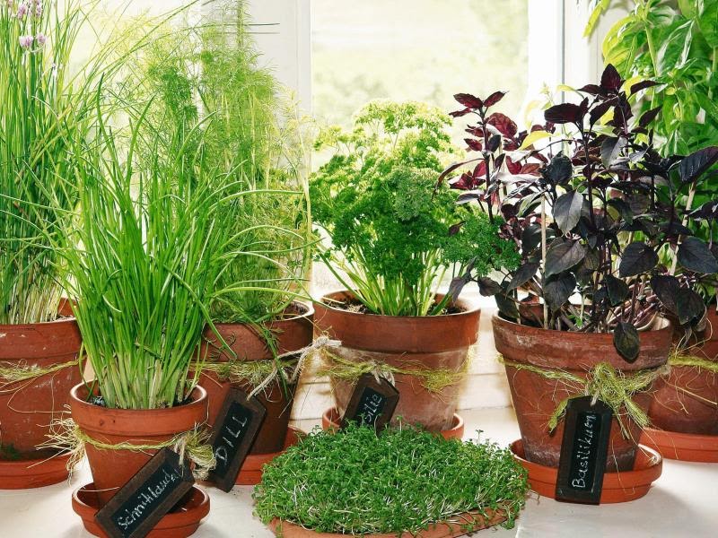 der innere garten maaaadame