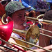 Olinda - Carnaval 2014