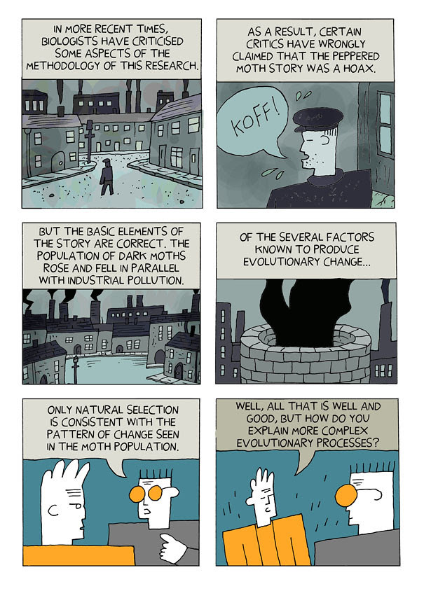 evolution 14