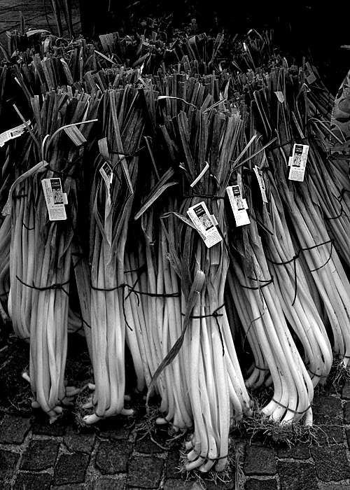 porri di cevere© by Haalo