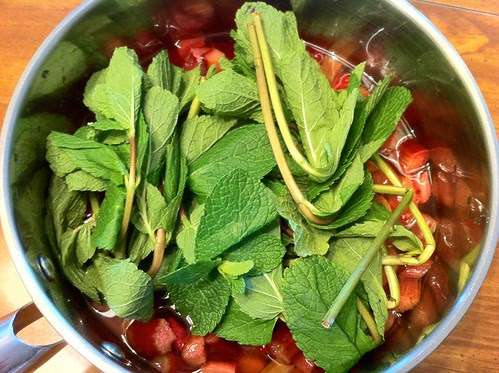 Mint Added to Rhubarb