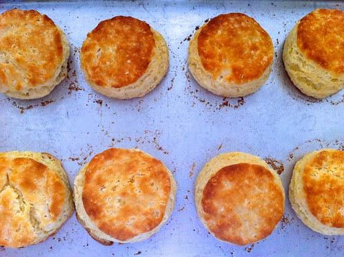Homemade Buttermilk Biscuits