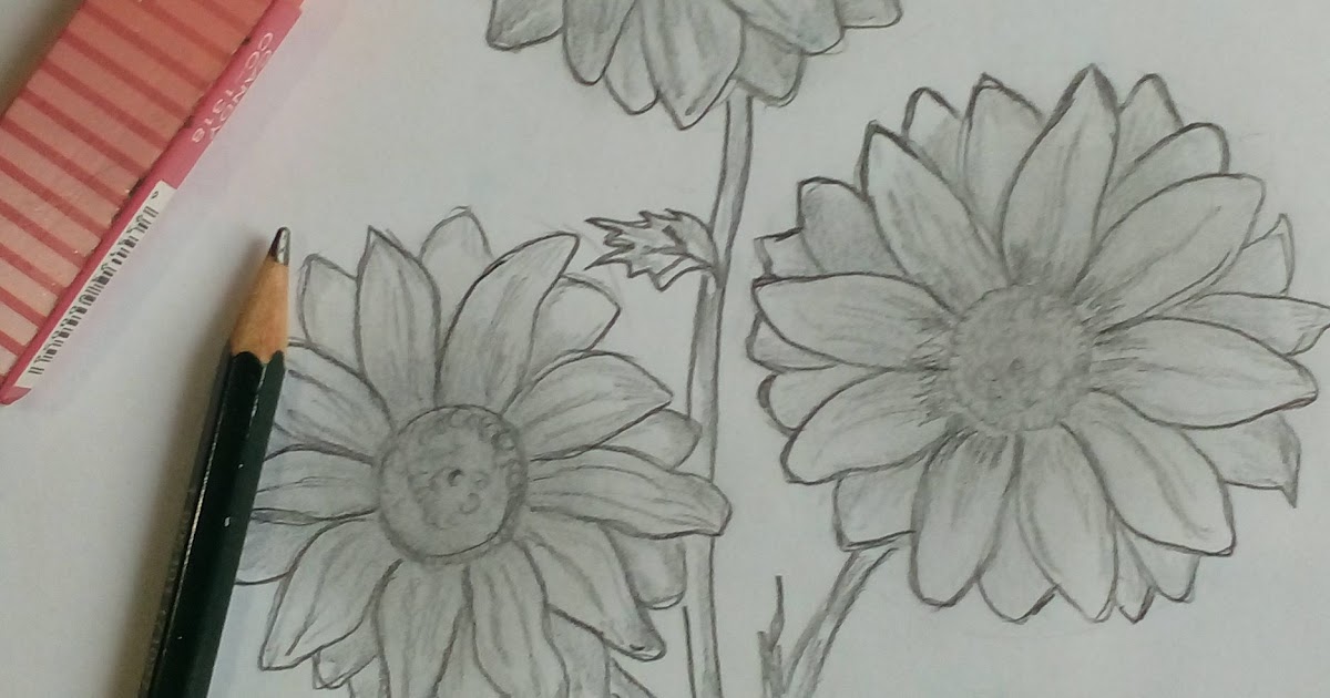 Gambar Bunga Pensil Keren - Lukisan Bunga Pensil / Galeri gambar kartun
