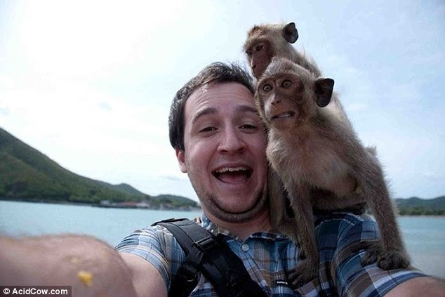This man appears quite calm about having a pair of manic monkeys on his shoulder, the monkeys however are not so relaxed 