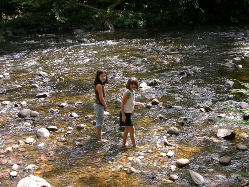 standing in the river