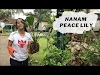 Serunya Nanam Peace Lily di Teras Rumah di Desa