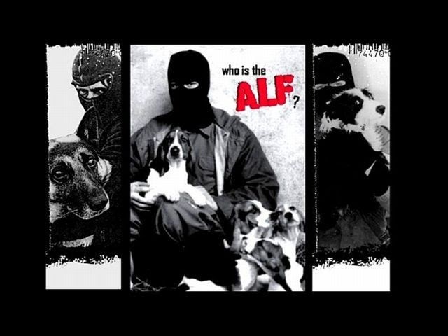 Animal Liberation Front Direct Action - QANIML
