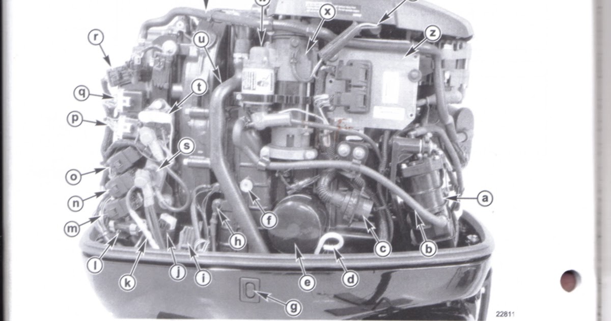 Wiring Diagram For 50 Hp Mercury Outboard - SHELVESCRIBE