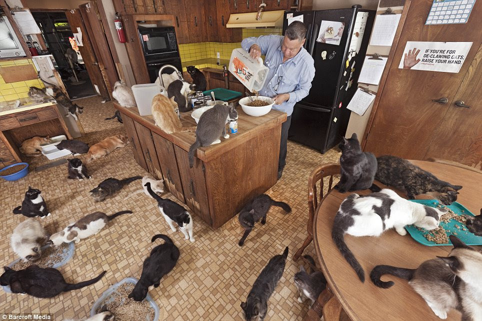 Help around the house: A team of dedicated volunteers chip in with much-needed work around the estate