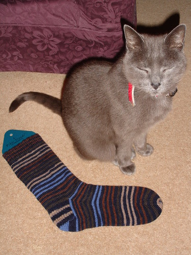 Mr Josiekitten's Xmas socks day 2 WIP 004