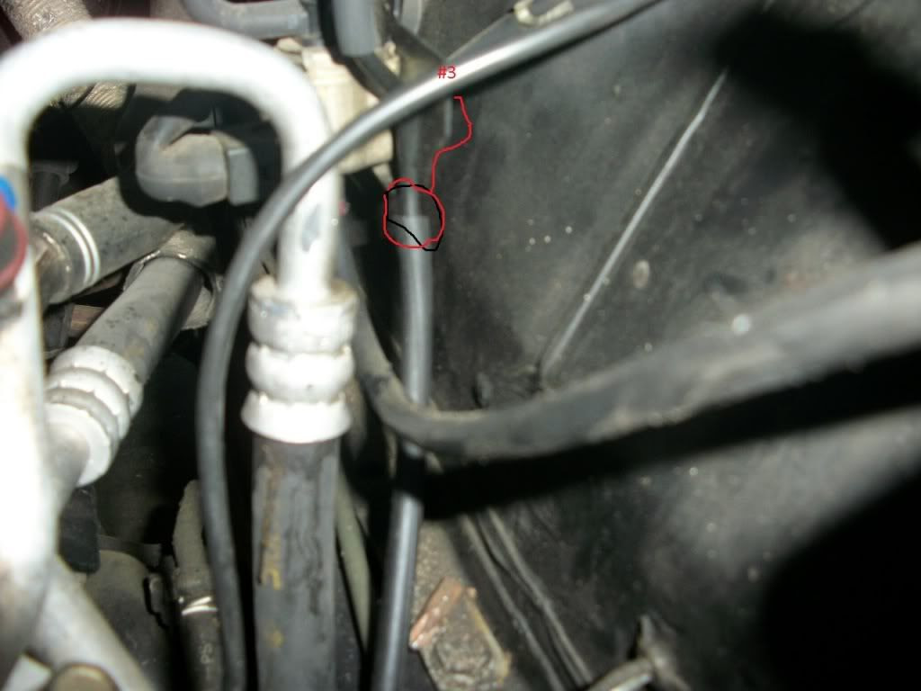 Ka24E Wiring Harness Diagram : Ka24e Wiring Diagram - Looking at the