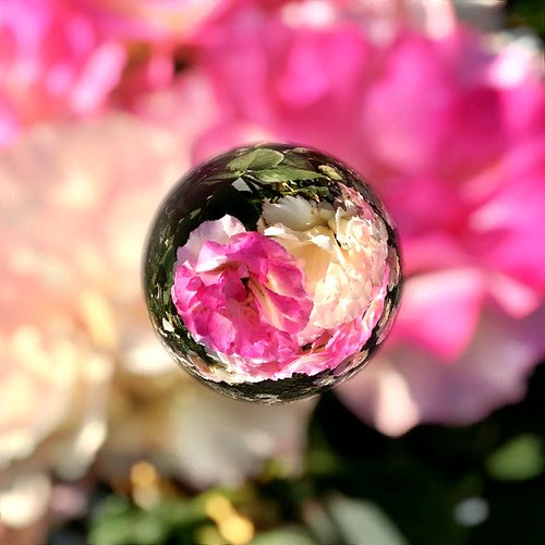 20120527085201