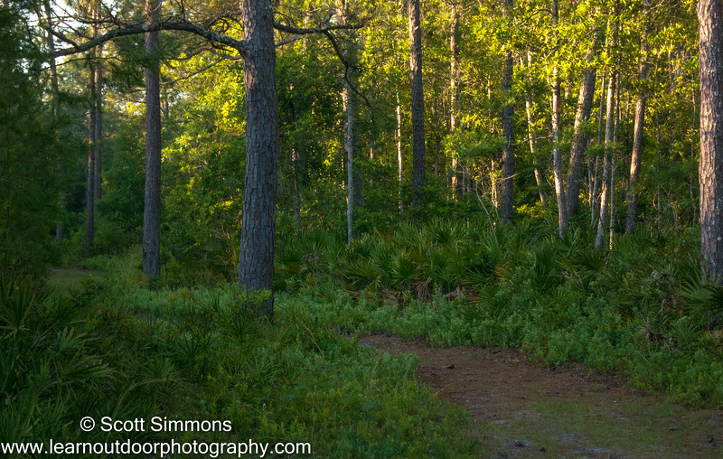 Photo & Video Sharing by SmugMug Photo & Video Sharing by SmugMug
