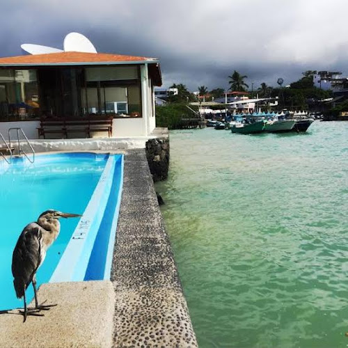 Hotel Solymar Galapagos - Puerto Ayora