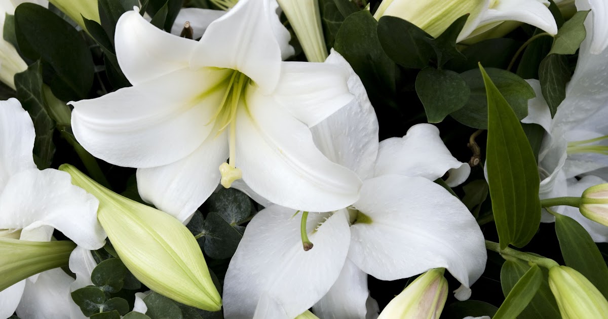 Types Of Funeral Flowers Near Me - The Meaning Behind 7 Different Types ...