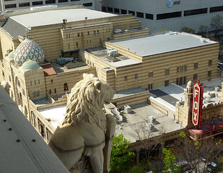 P1050829-2012-03-17-Ponce-de-Leon-Apartments-roof-Circa-Phoenix-Flies-Atlanta-Preservation-Center-Lion-and-Fox