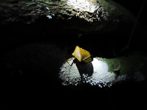 2012.01.19-IMG_0501