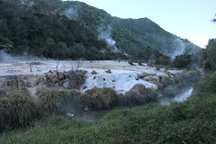 NZ 190