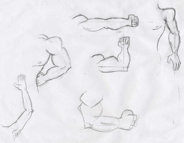Learning about Animation: Squash and Stretch
