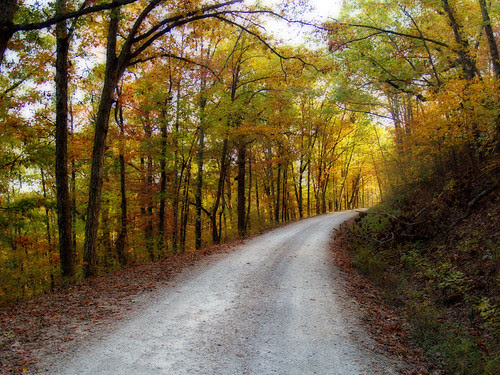 Winona Scenic Drive