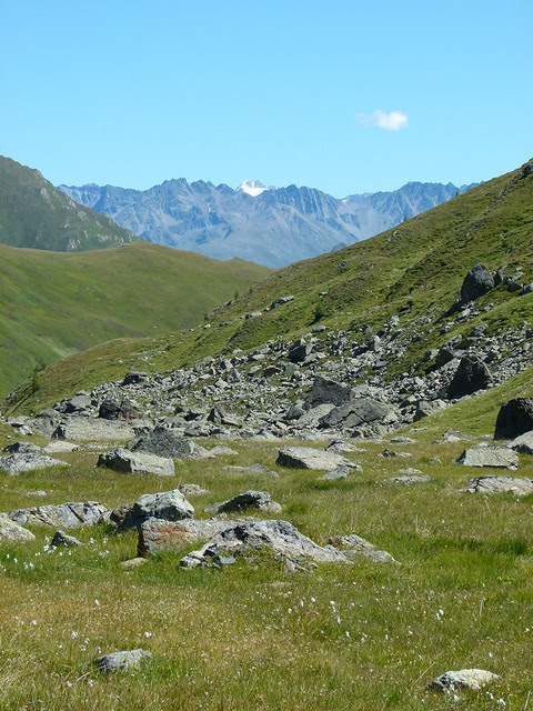 Kappl 2012