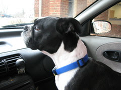 Where are we going