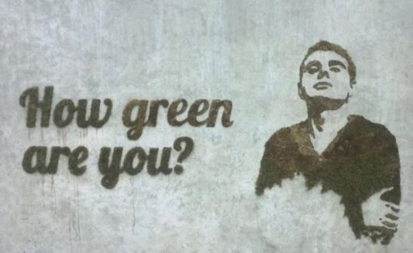 How to grow eco-friendly moss graffiti 13