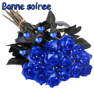 Bonne soirée" - Bouquet de roses bleues...