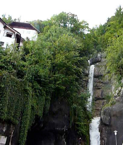 P1030442_bis