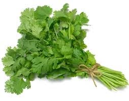 HEALTH BENEFITS OF CORIANDER