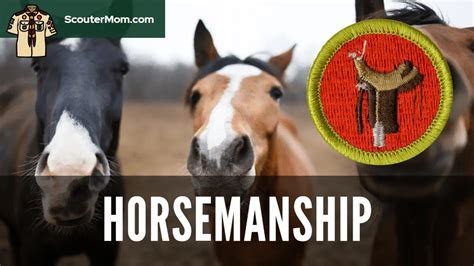 Download Link horsemanship merit badge answers iPad Pro PDF - Stedman's