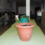 plantes-001