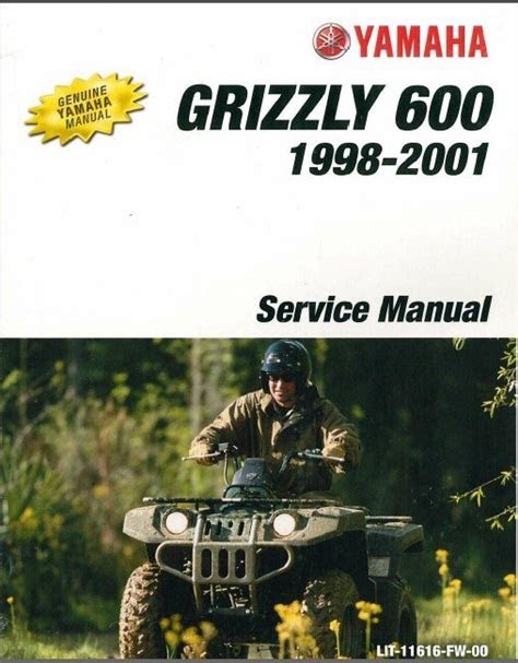 yfm yfm600