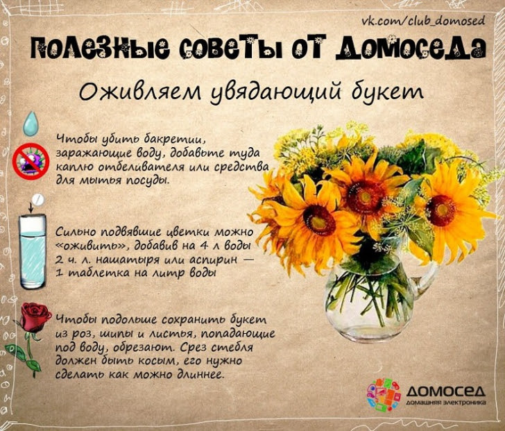 Полезные хозяйственные советы (часть 2) Полезные хозяйственные советы (часть 2)