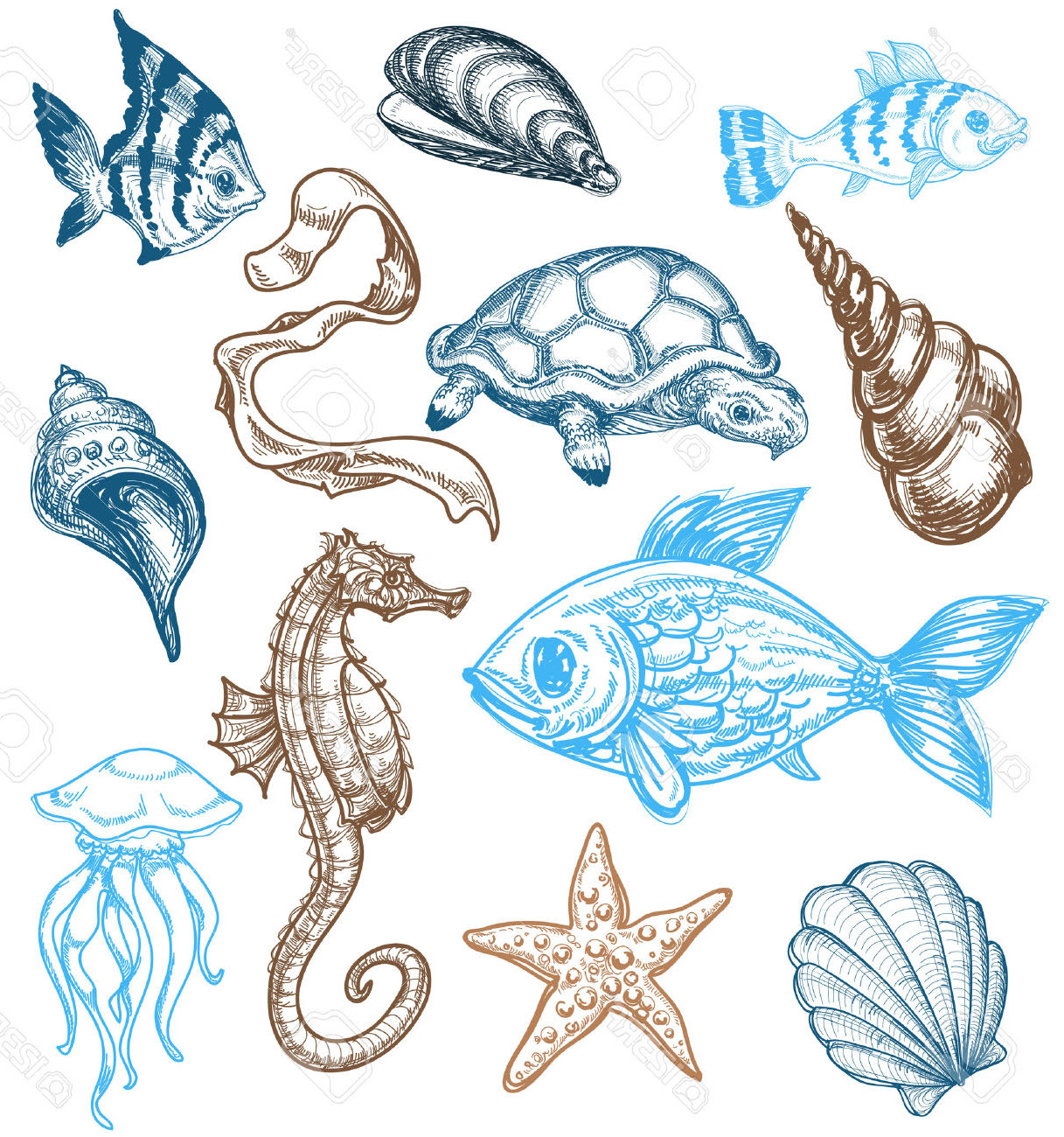 Easy Cute Sea Creatures To Draw