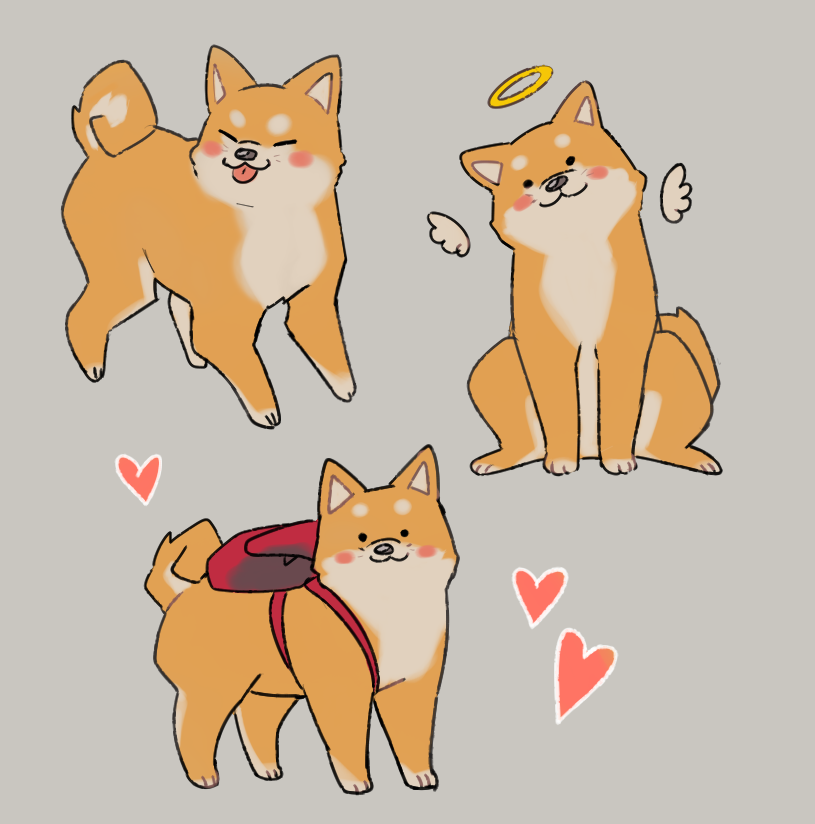 How To Draw A Shiba Inu Easy