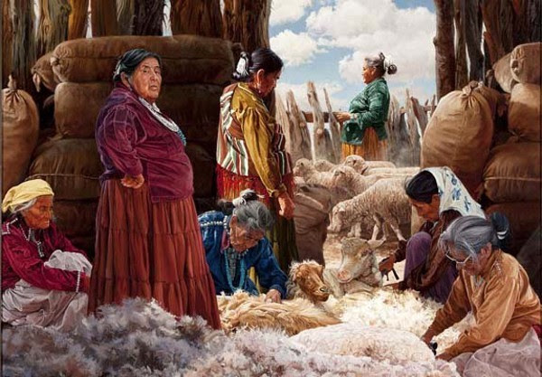 Shearing The Churro Sheep