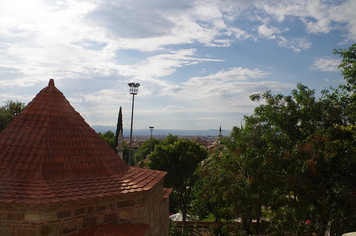 IMGP1341