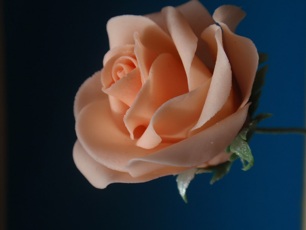 Making a full sugar flower rose