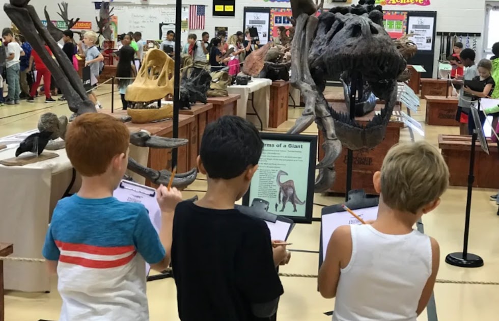 dinosaur george store